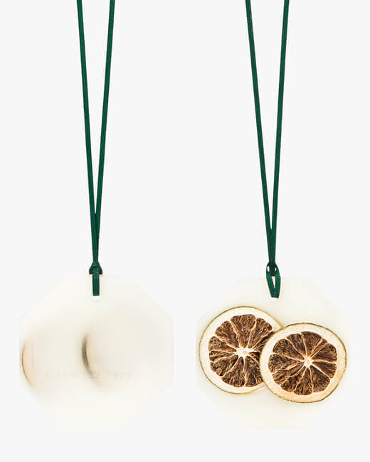 Citrus Syracusis Siracusa Lemon Botanical Palet