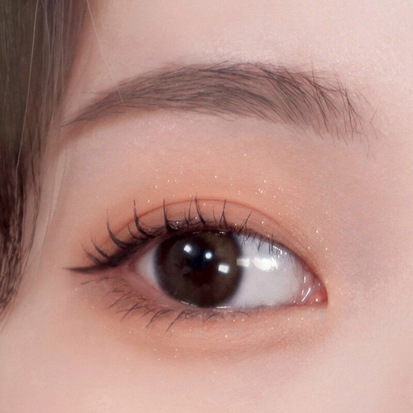 Colorgram Shade Re-forming Quad Palette